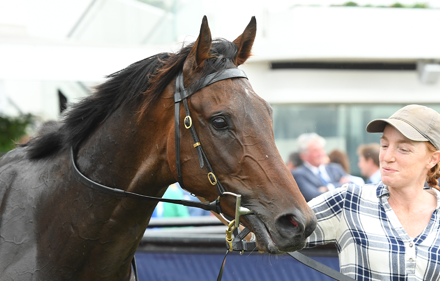 Noonan has faith in Bold Soul