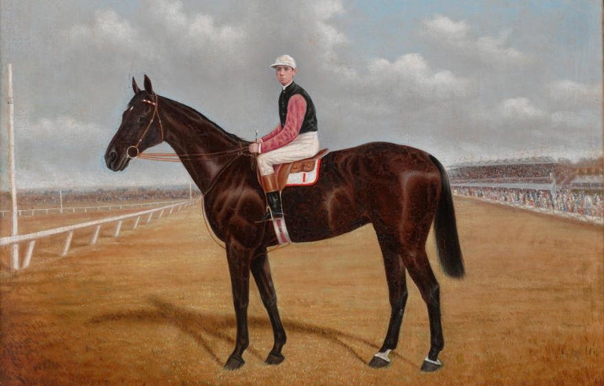 More than a racehorse: How Wakeful inspired generations