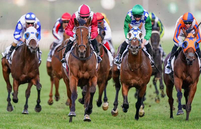 Expert Overview TEST