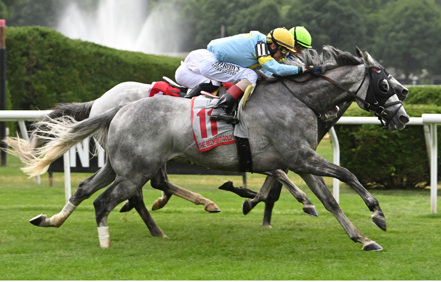 The Grey Wizard secures golden ticket into 2024 Lexus Melbourne Cup