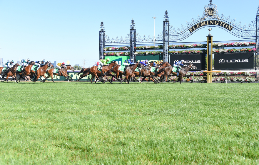 Ageing mares add Cup sparkle