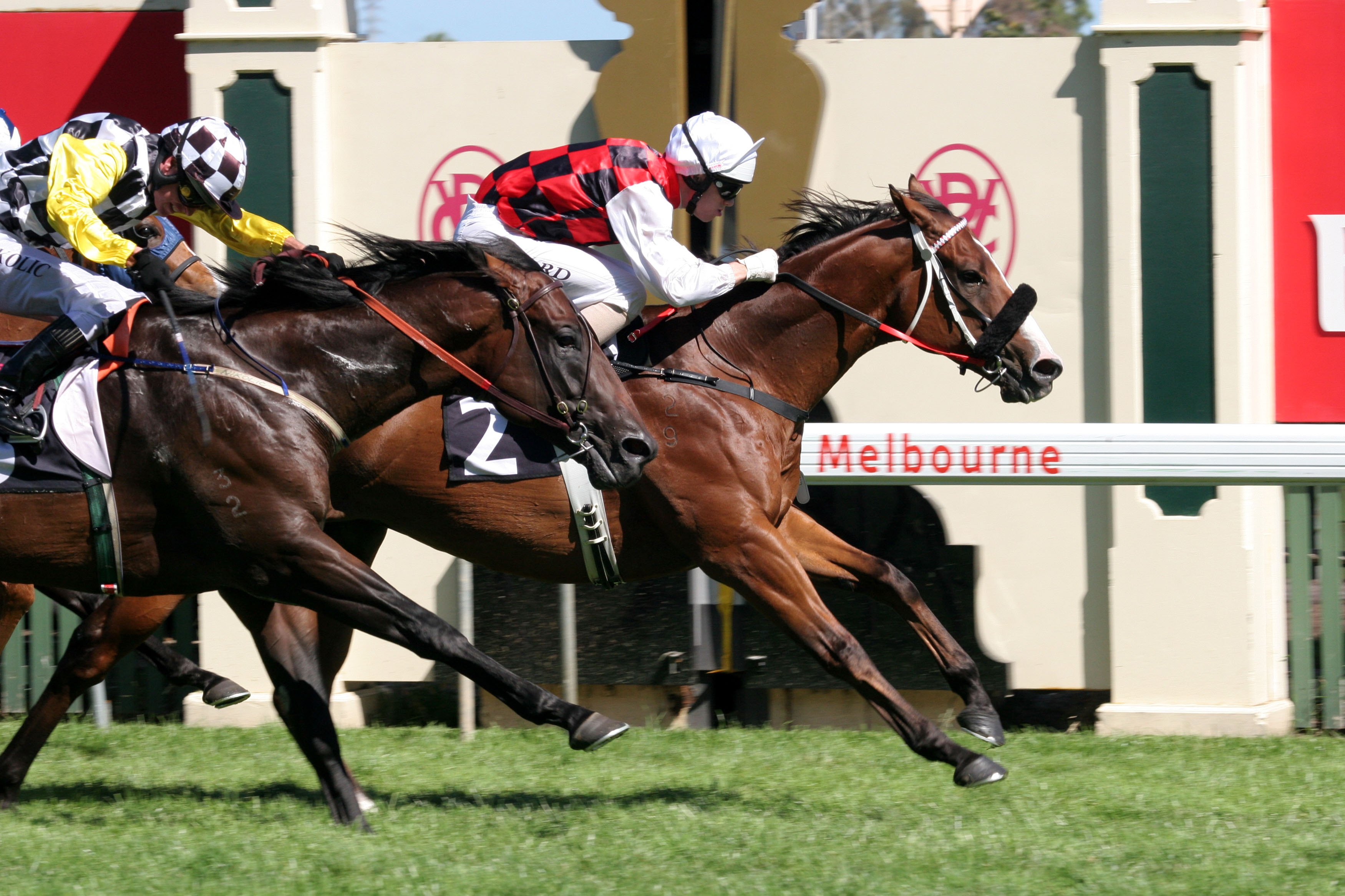 Flemington form an Ascot bonus for Nature Strip