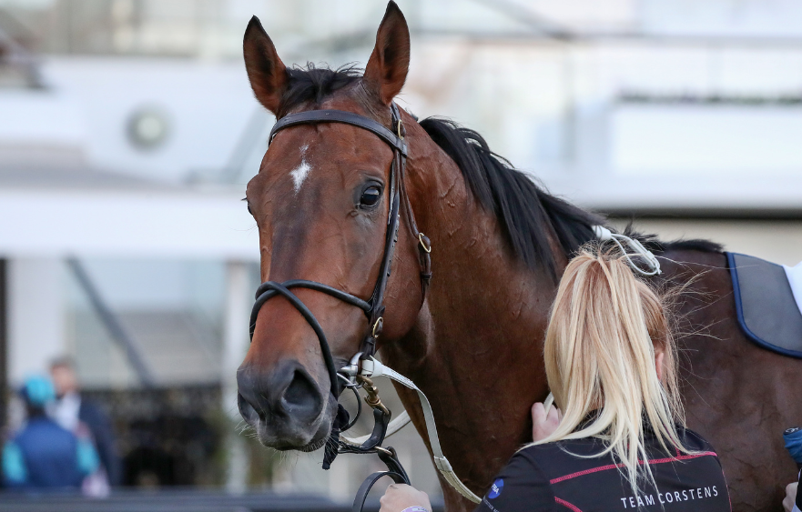 Written in the stars for The Astrologist