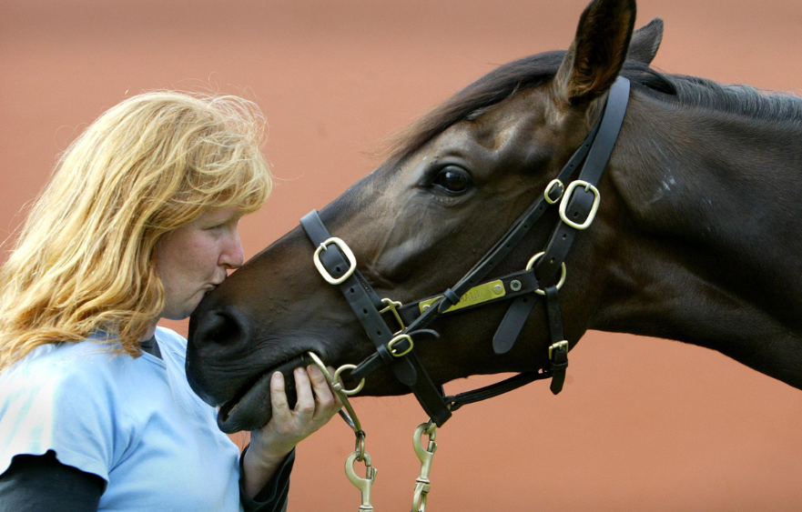 Meet Donna: Makybe Diva's first Cup strapper