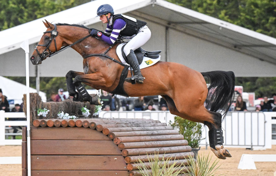 Shenae Lowings and Bold Venture