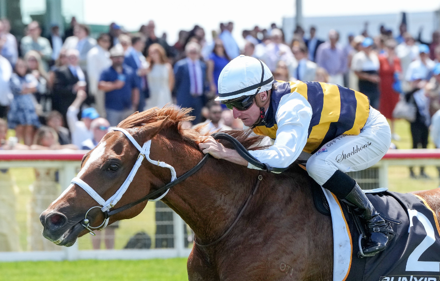 Deakin ready for Melbourne Cup qualifier