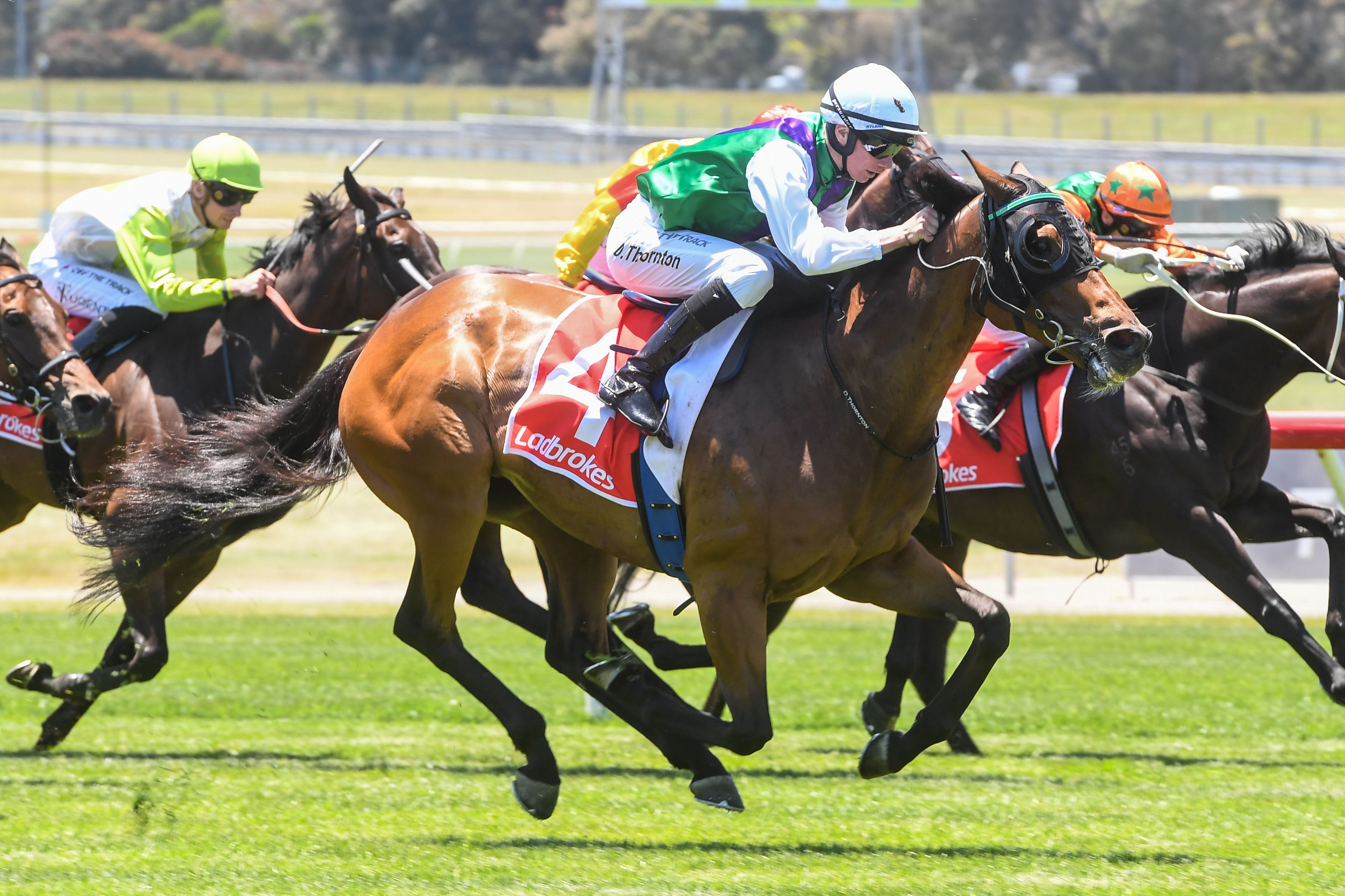 Goodwin likely to go Again at Flemington