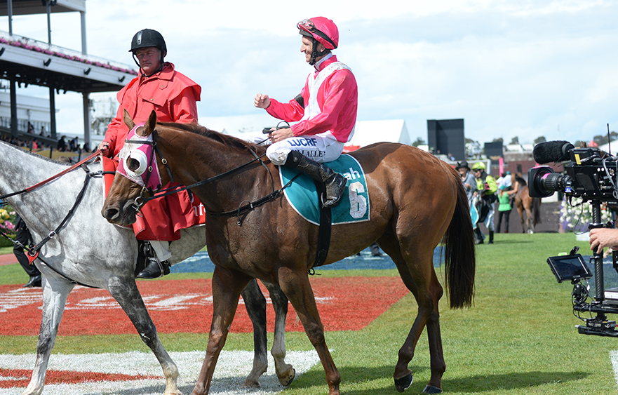 The Quarterback’s forever home