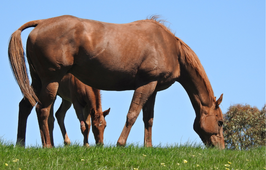 August 1: Save the date