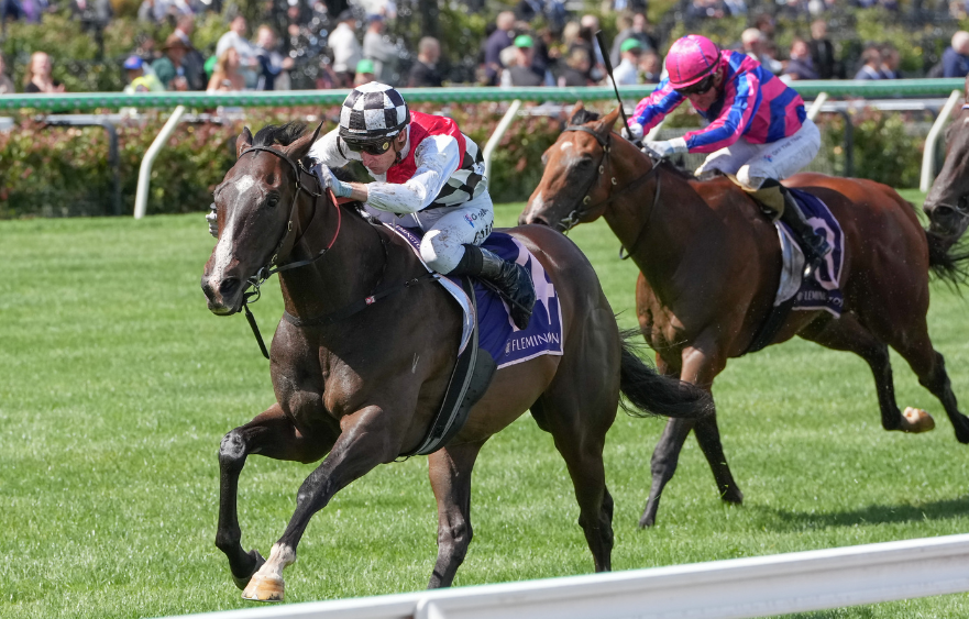 Sepals looms a Guineas contender