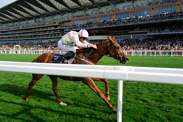 Willie eyeing a Melbourne Cup return with Vauban