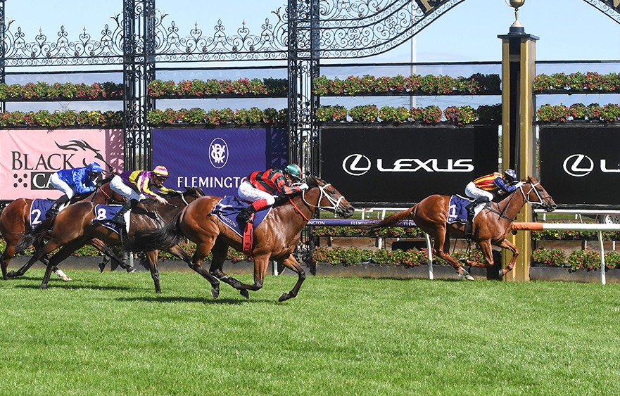Sprint king back at Flemington