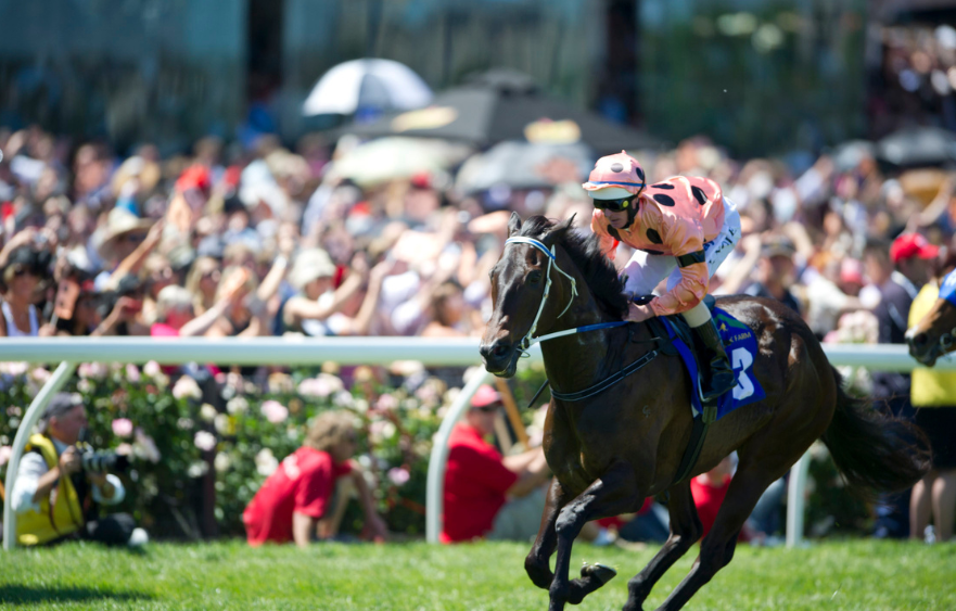 Calling greatness: Greg Miles reflects on Black Caviar