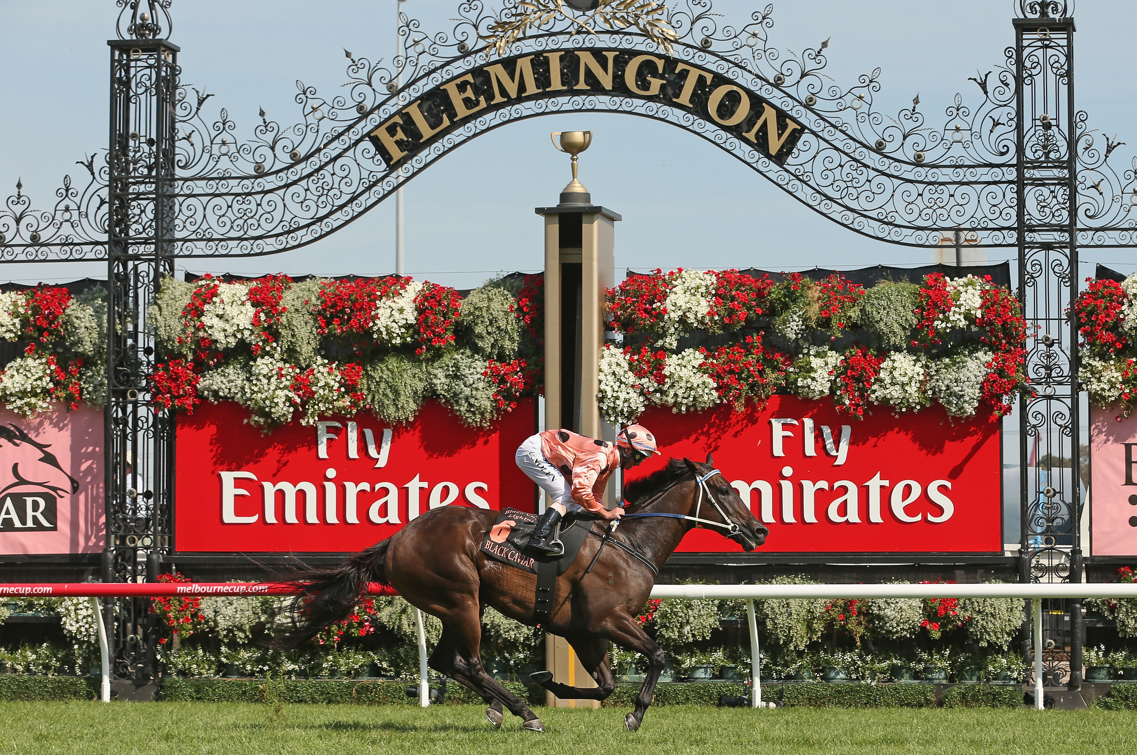 Who have been Flemington’s fastest horses?