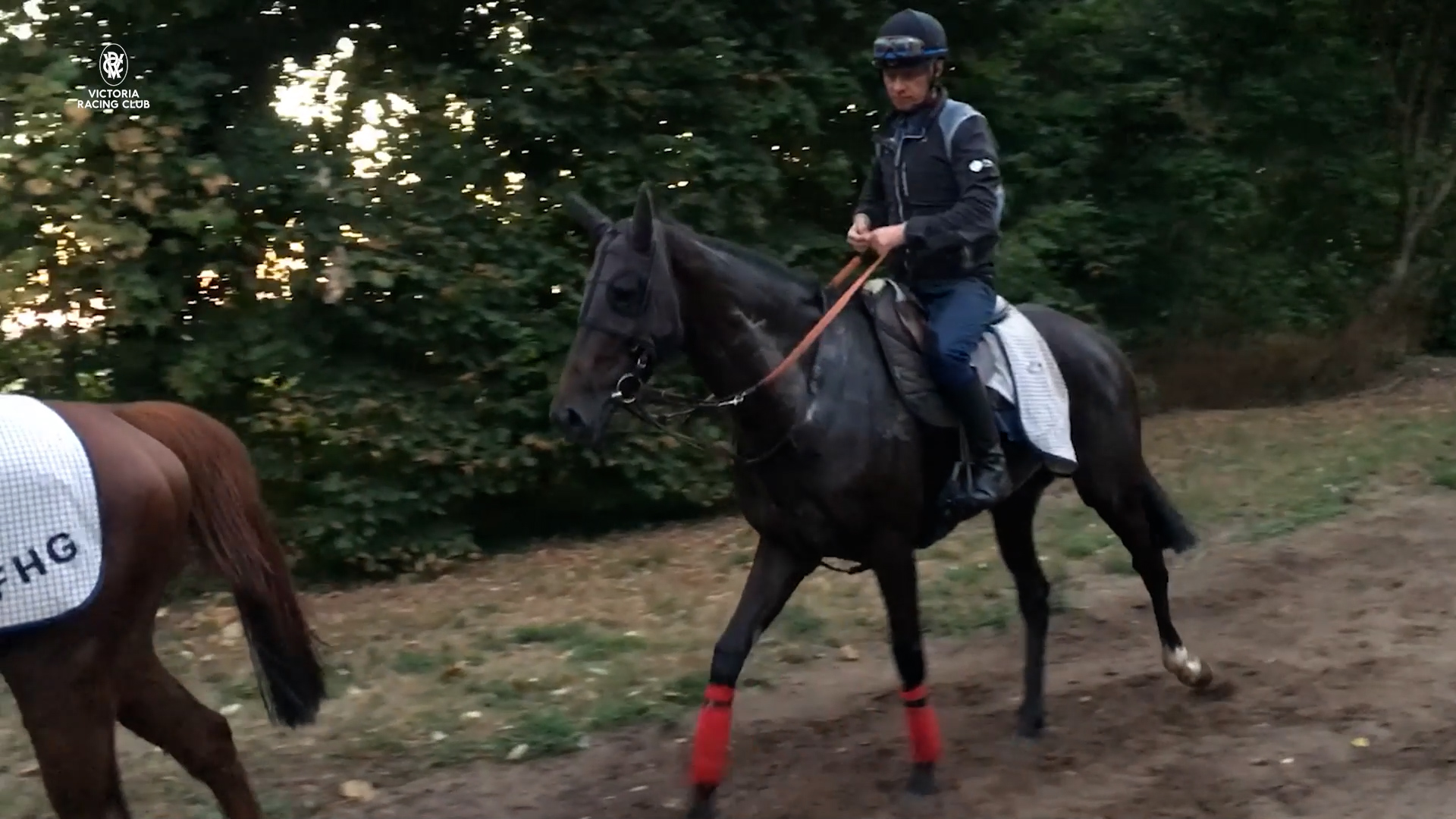 Verry Elleegant in France