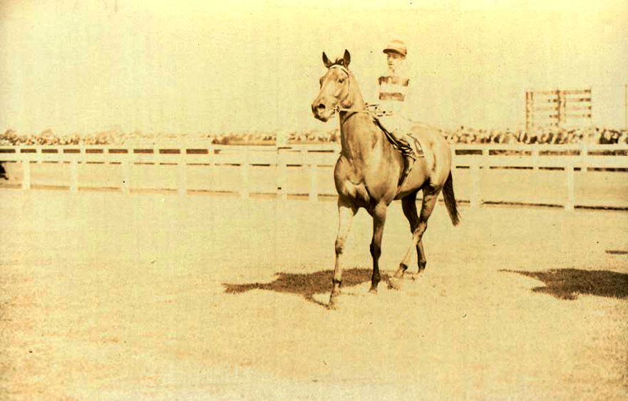 Aurie’s Star – Hero of the Straight Six