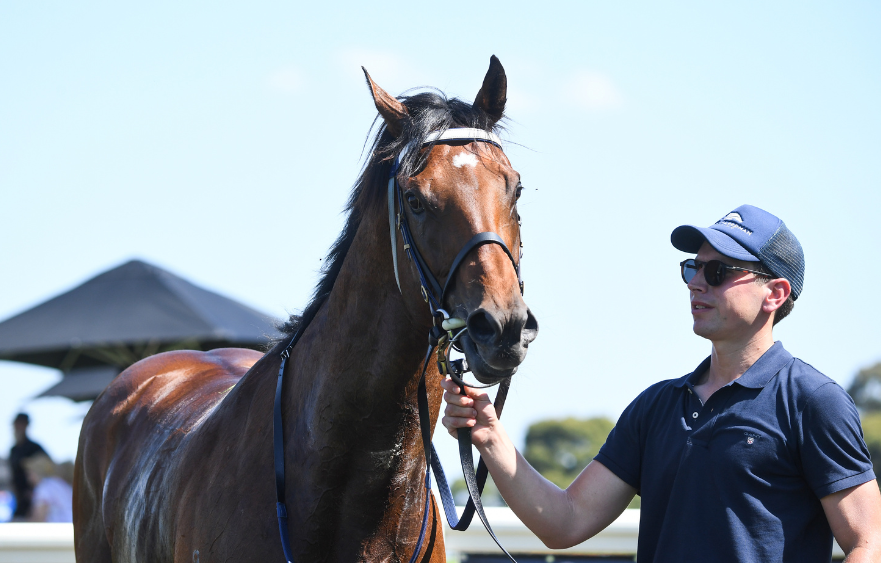 Attrition aims up at TAB Australian Cup