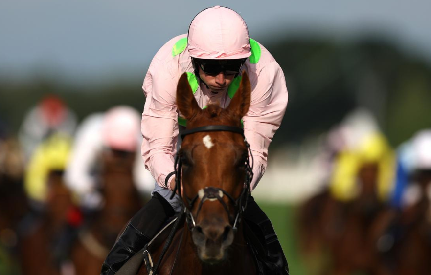 Willie Mullins eyeing Cup glory