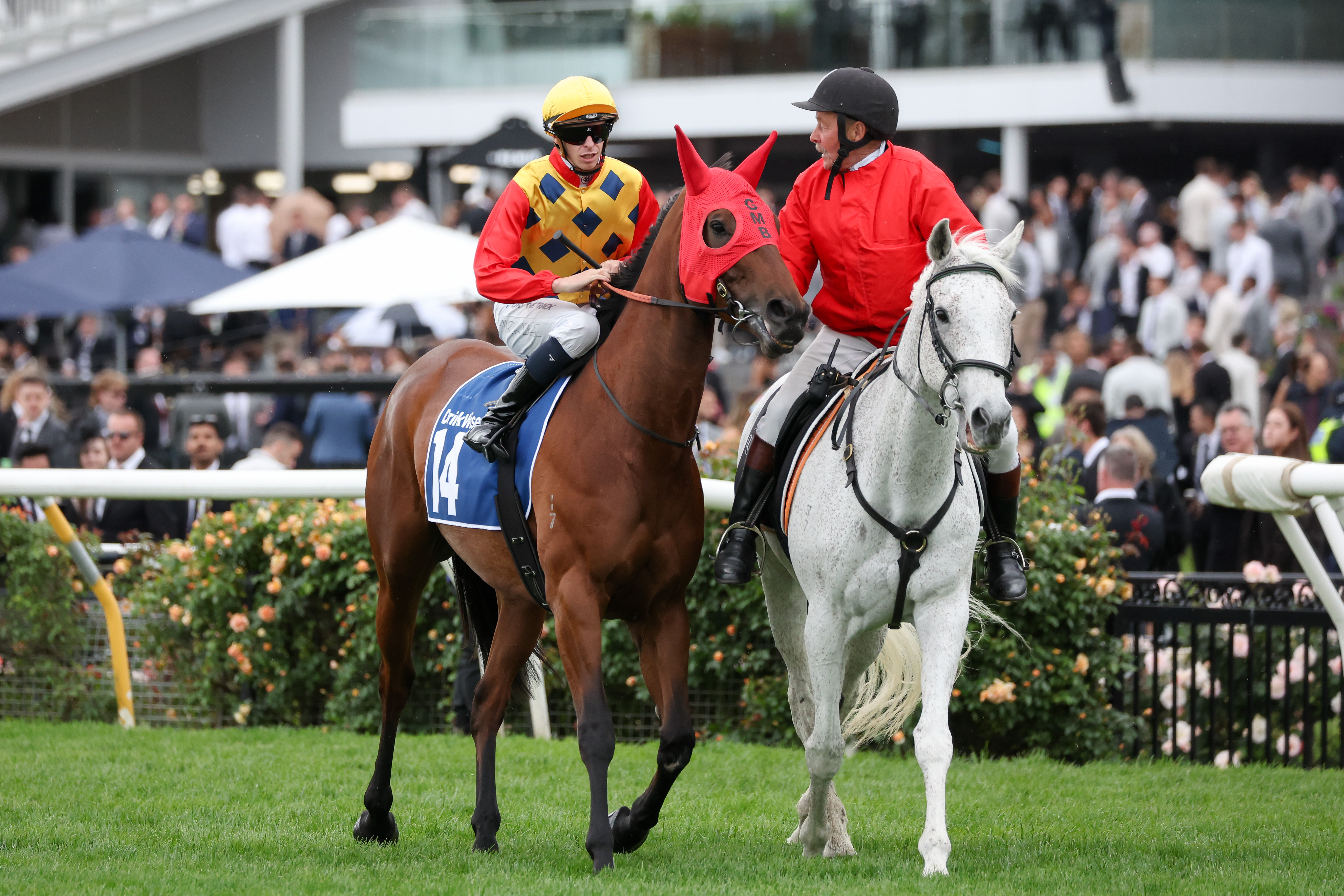 Rose in search of Flemington success