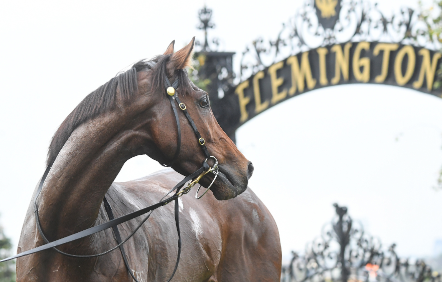 Winter colour highlights VRC Community Race Day