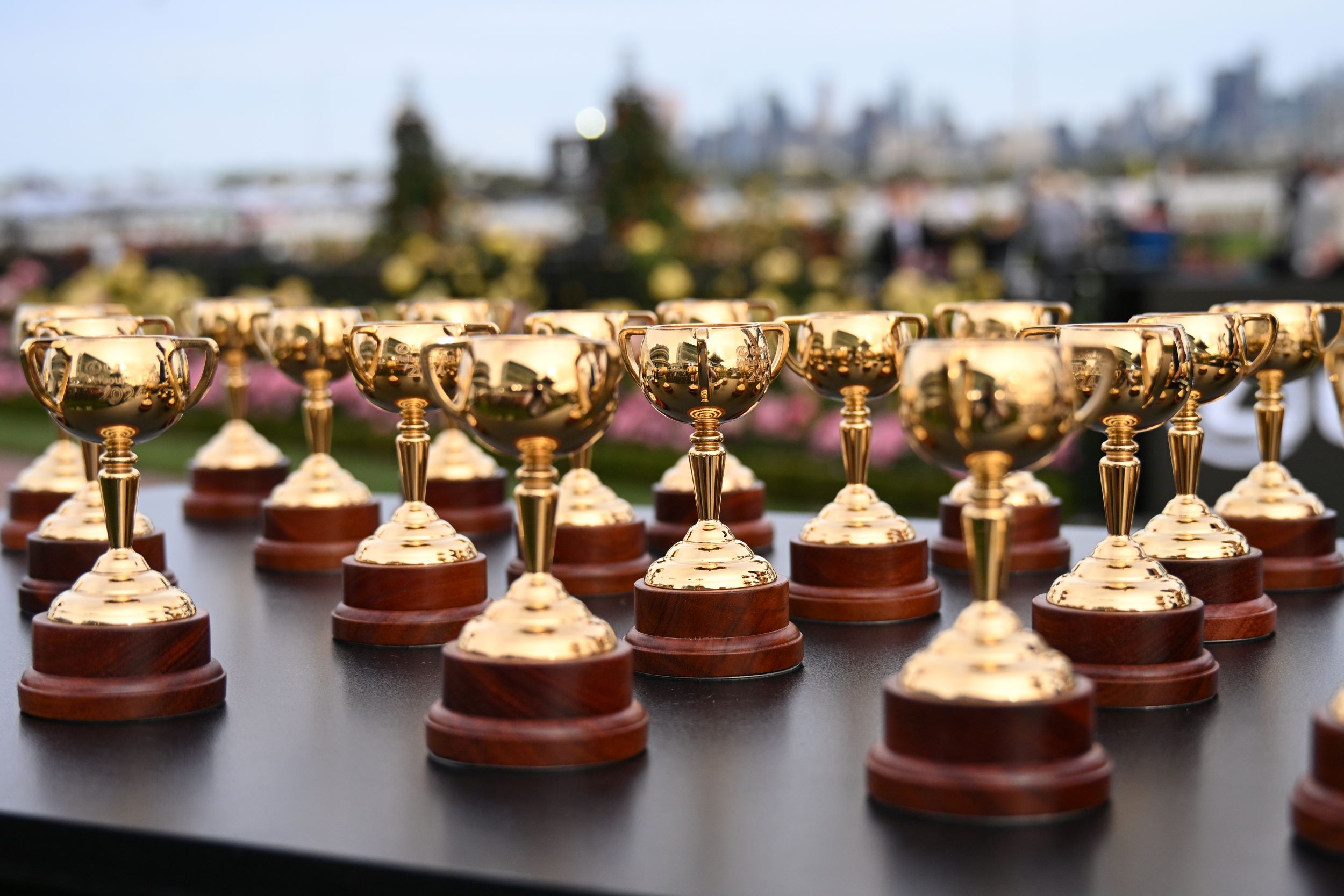 A quick look at the 23 horses running in the 2024 Lexus Melbourne Cup