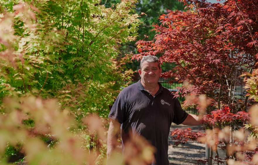 Autumn arrives in Flemington's gardens