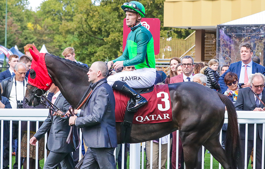 Graffard, Zahra believe real Verry Elleegant can still stand up