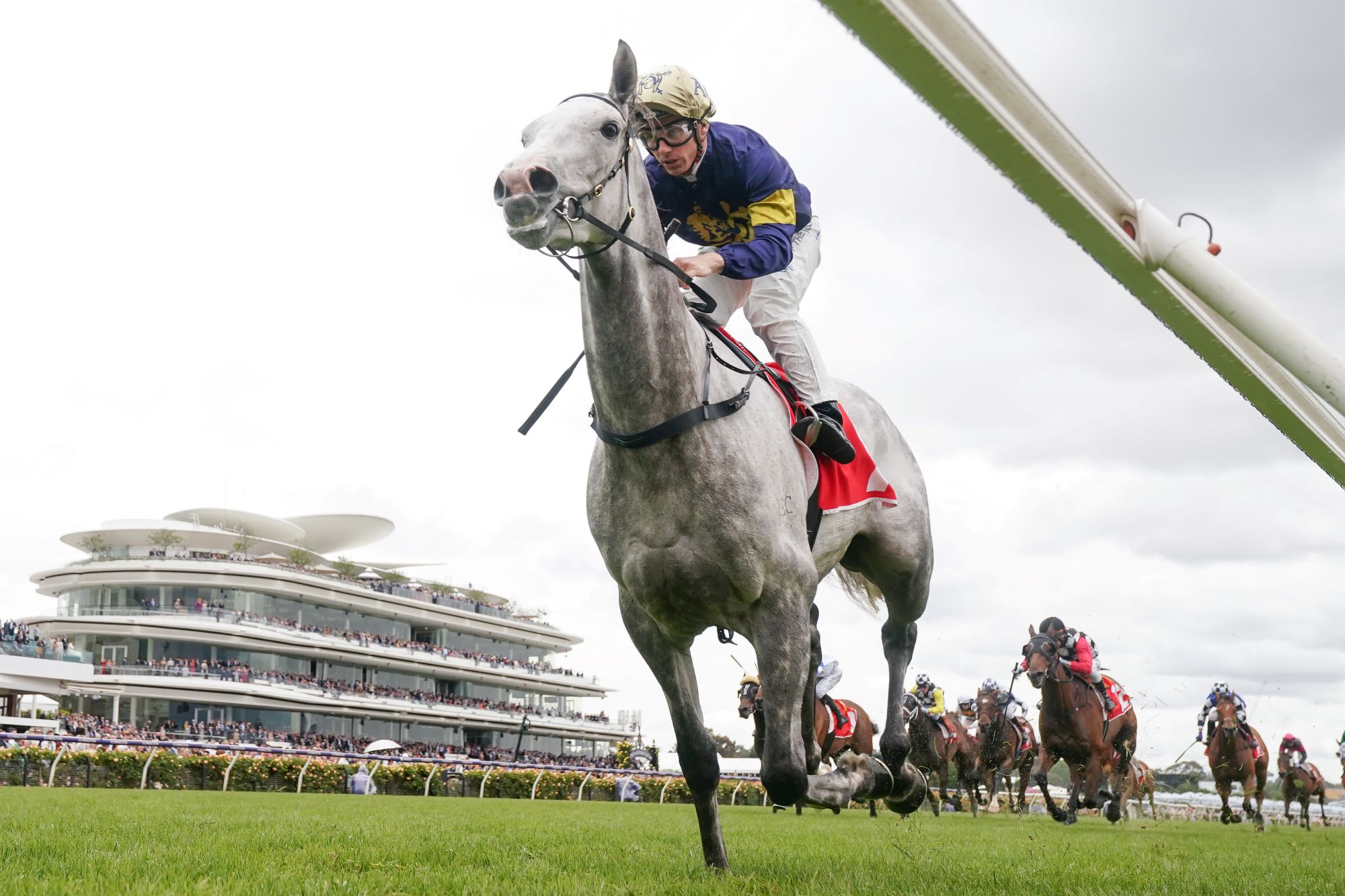 White Marlin begins Melbourne Cup path