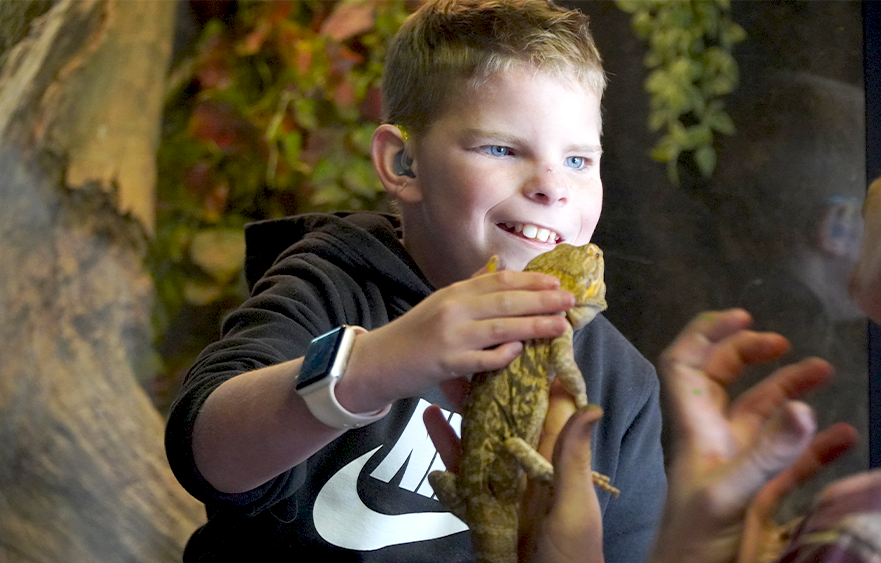 The Funky Farm: The healing place