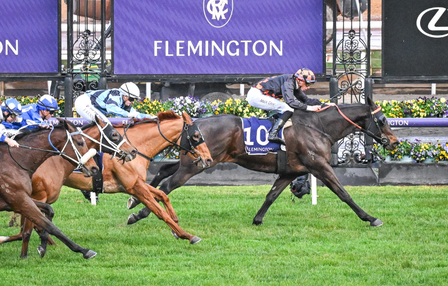 A great win for Horrifying at Flemington