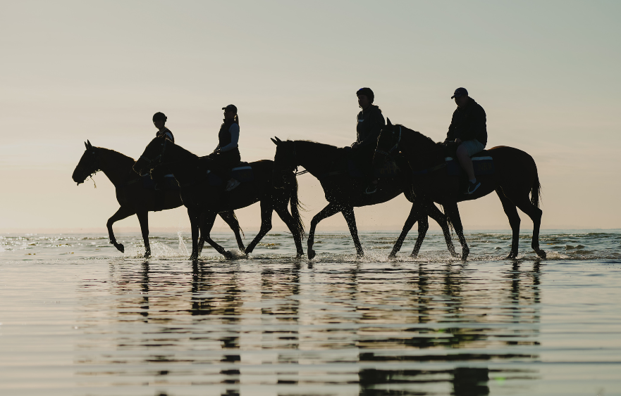 Is saltwater and sea air the secret to thriving racehorses?