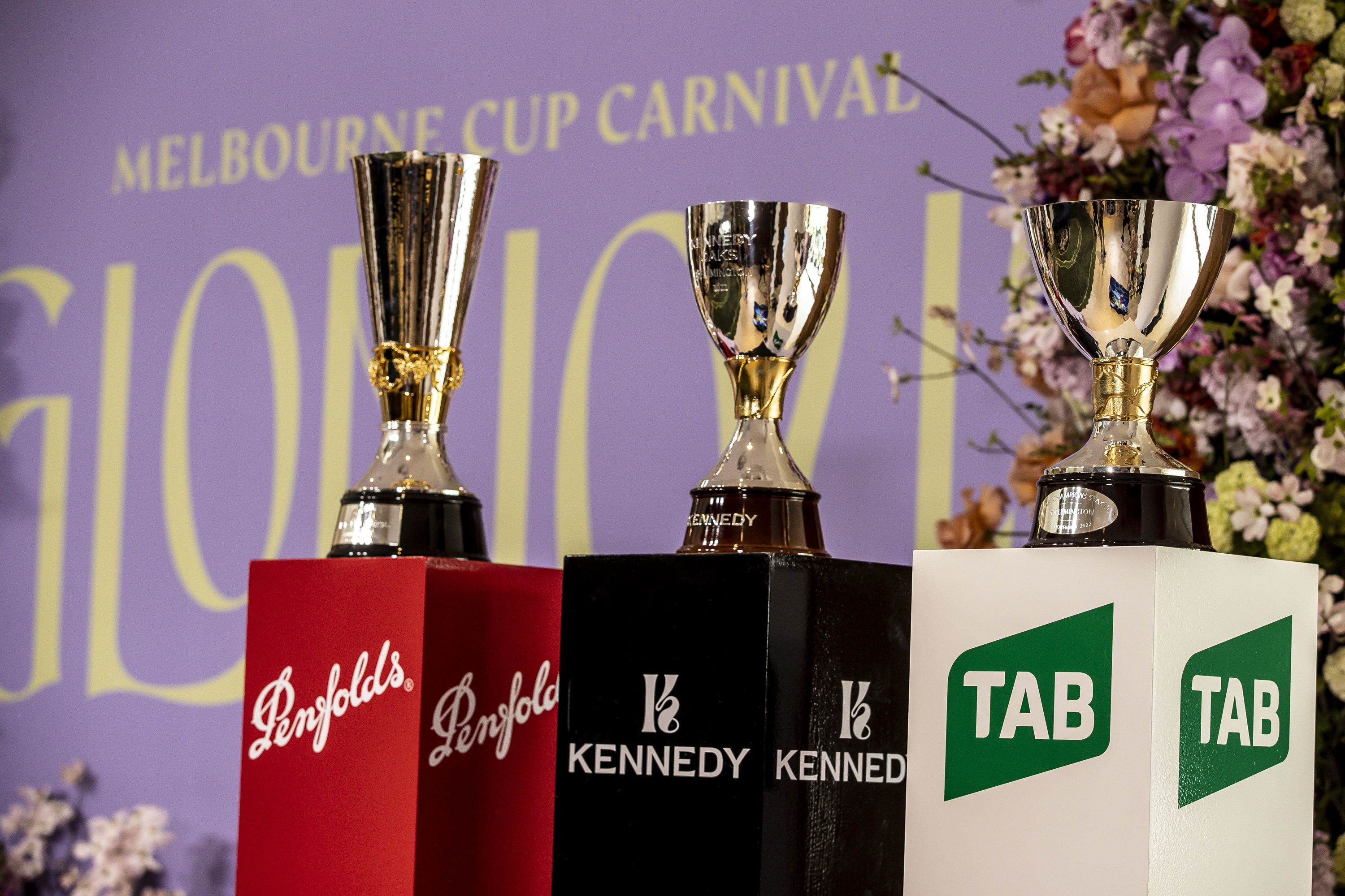 The Grand Finale of the Melbourne Cup Carnival