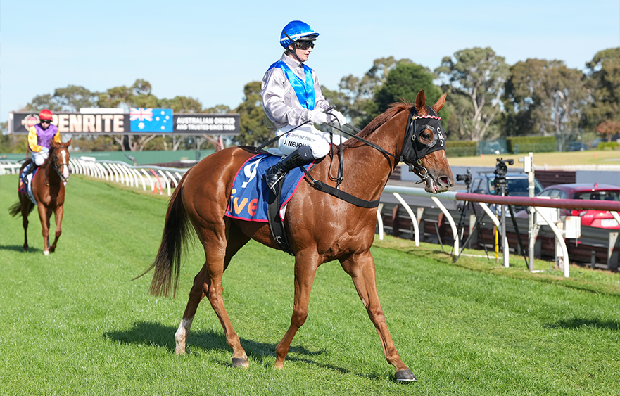 Spring plans afoot for Ahha Ahha