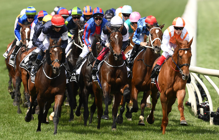 Melbourne Cup homebred heroes