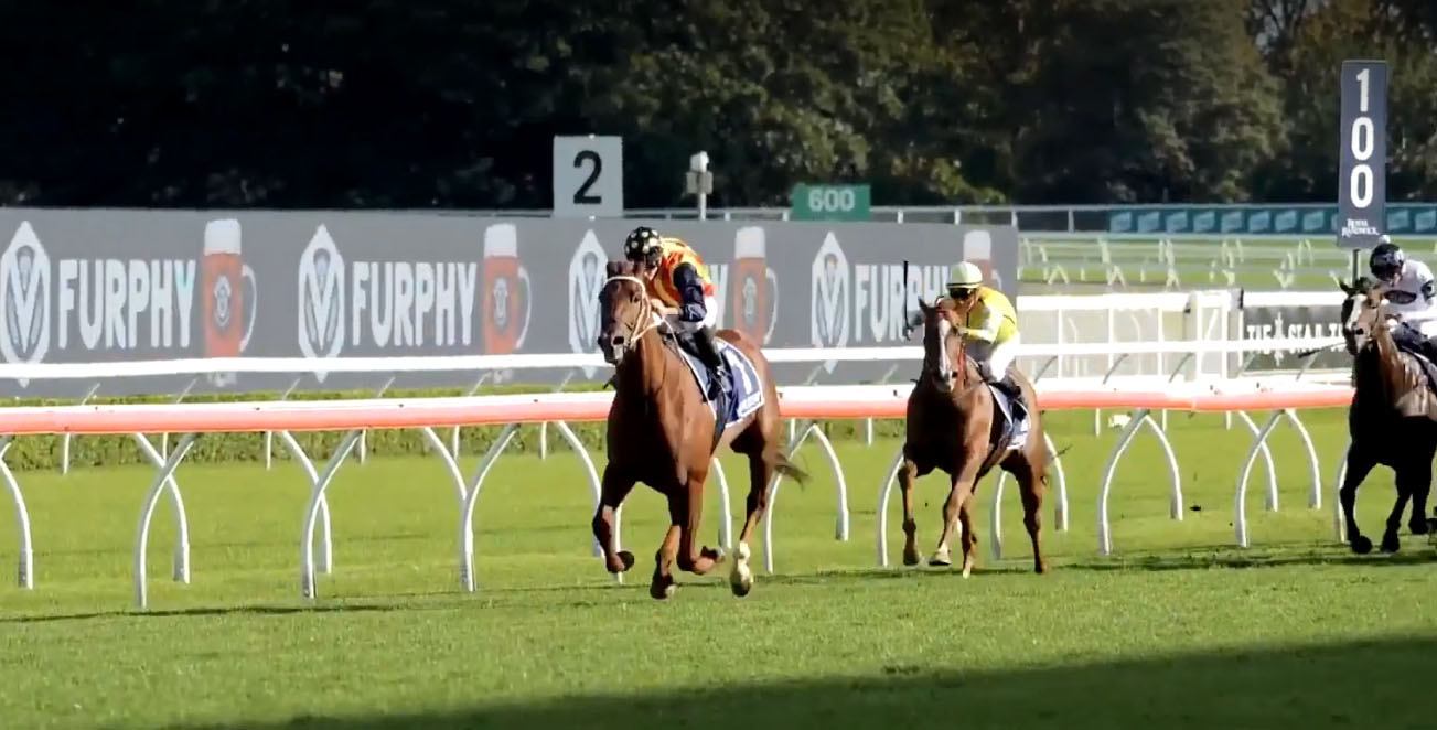 Super Aussie Sprinters to take meeting by storm.