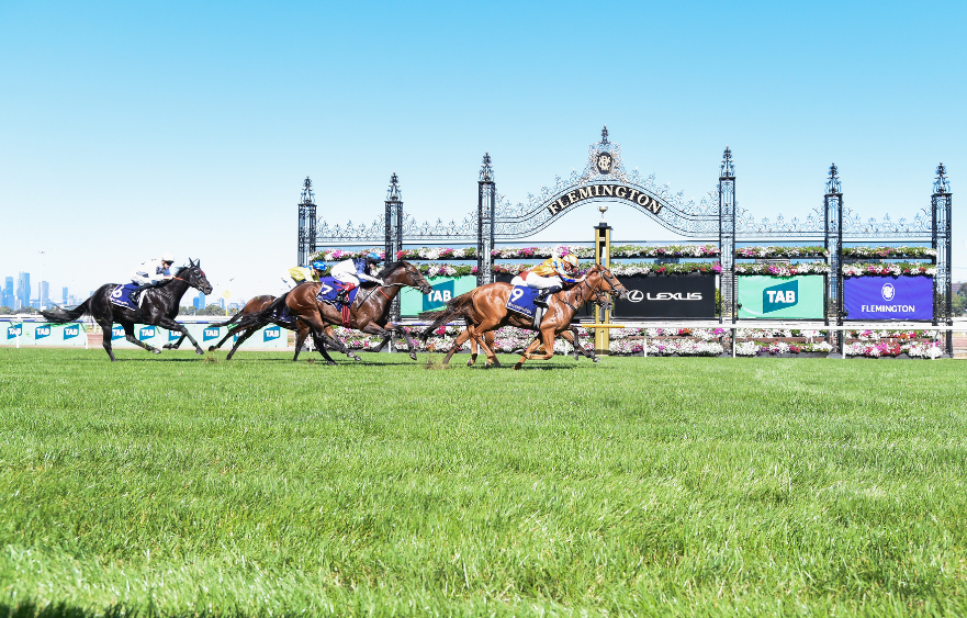 A look back at the TAB Australian Cup undercard