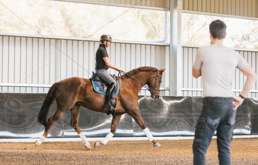 The farrier's role in healing