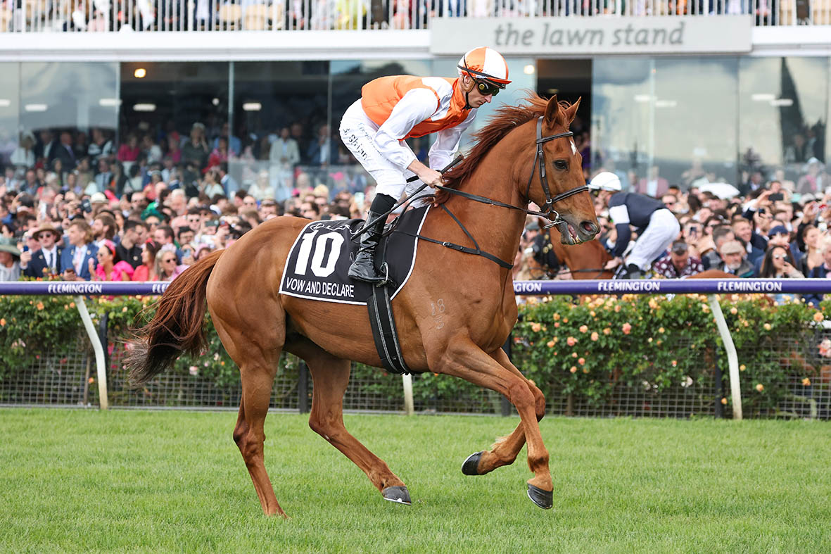 Melbourne Cup winner set to take his place in Zipping Classic