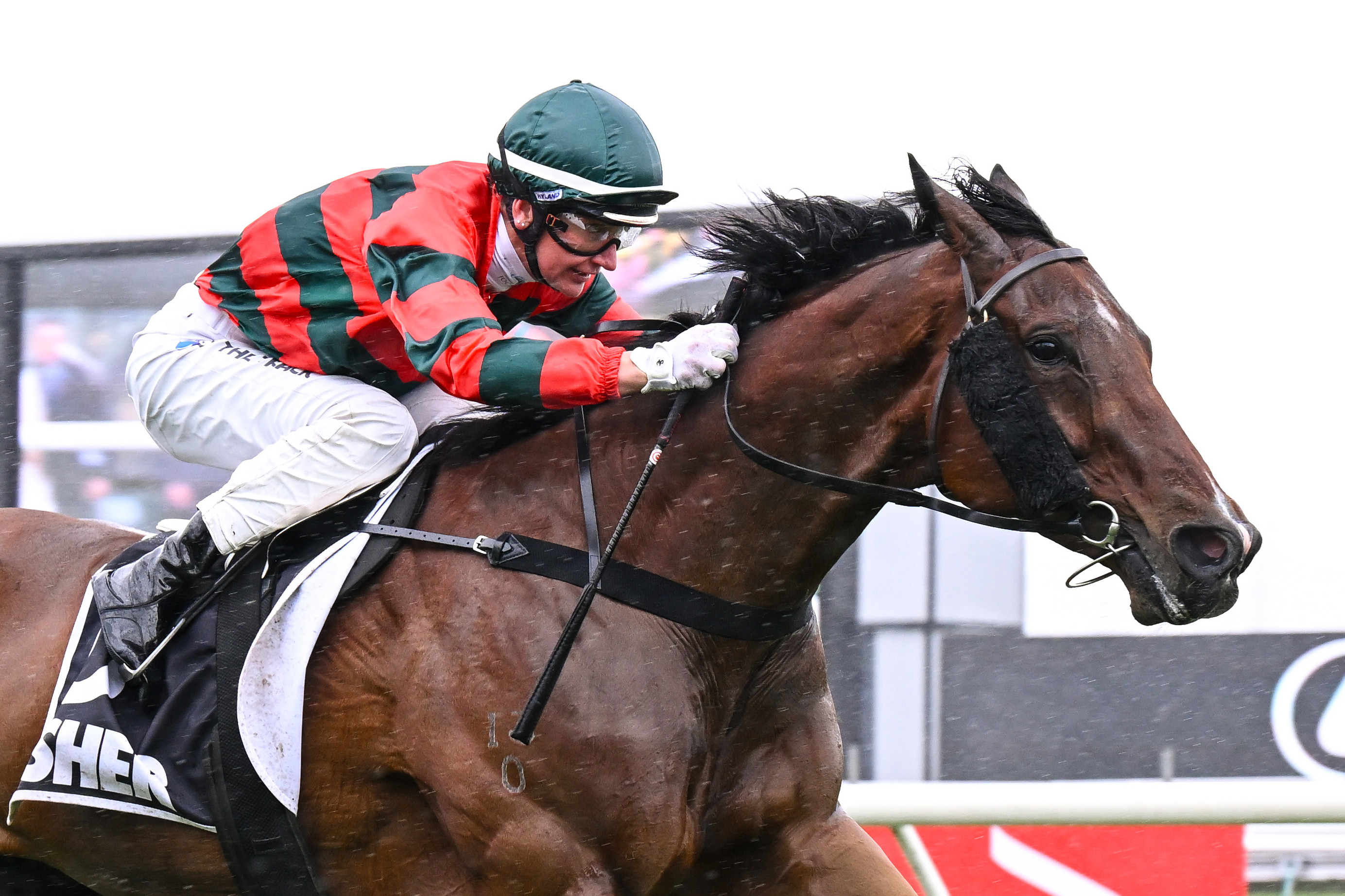 Melham makes even bigger mark on Cup Week