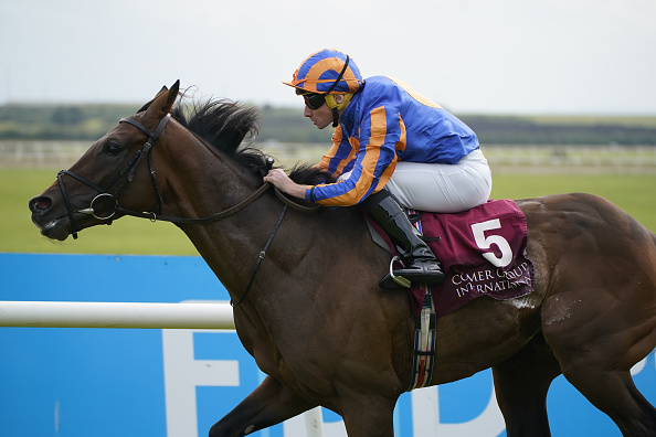 We have a new Melbourne Cup favourite: Grosvenor Square