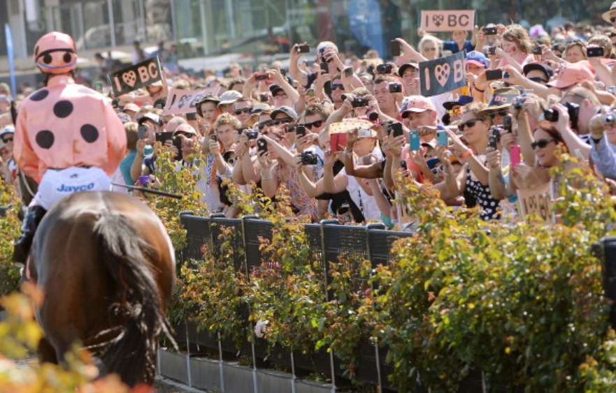 Black Caviar:  A record that is hard to beat