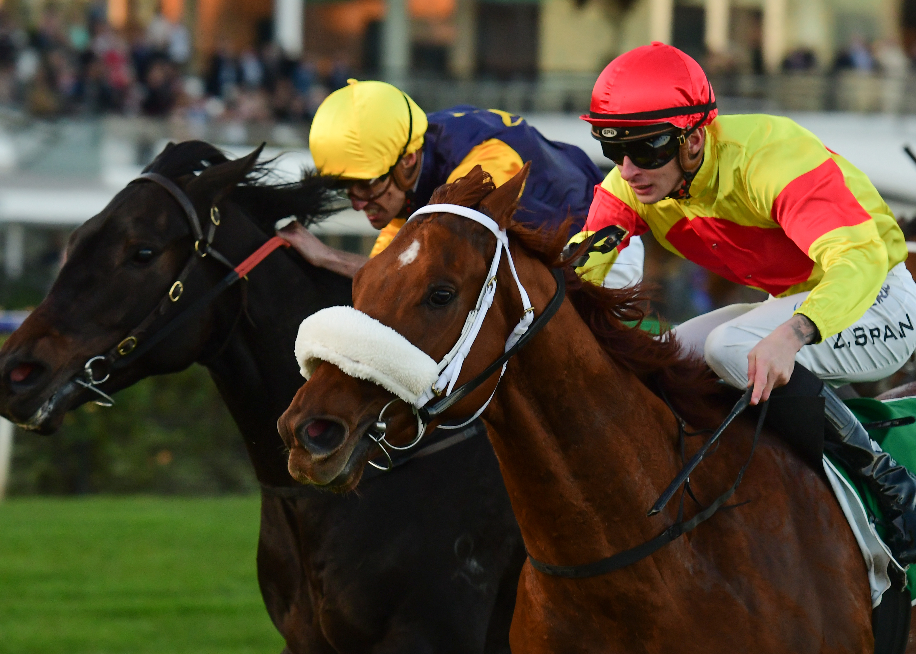 Arran Bay chases Flemington deuce