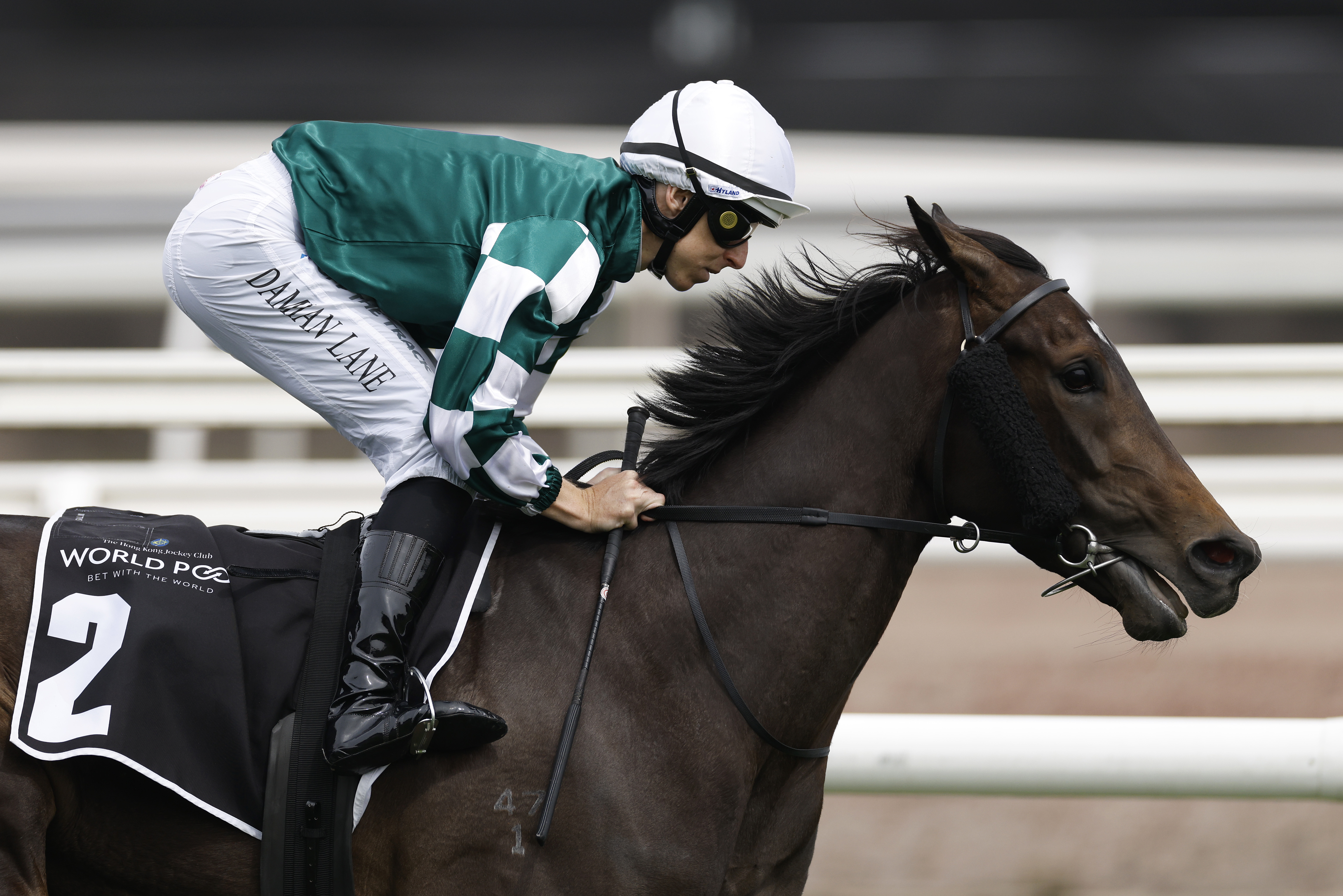 Coursing history in the VRC Crown Oaks