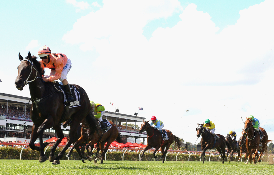 Black Caviar: Queen of the turf