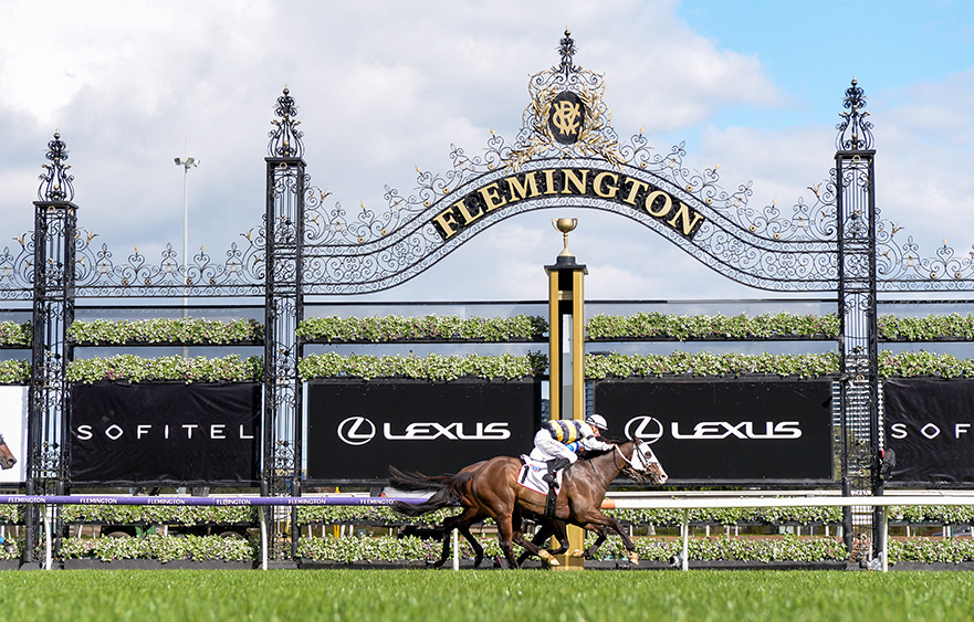 Spring time at Flemington