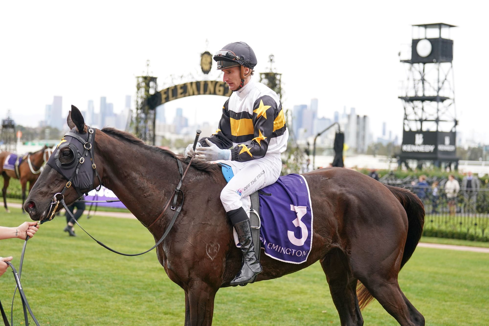 Mimi’s Award prevails in Deane Lester Flemington Cup