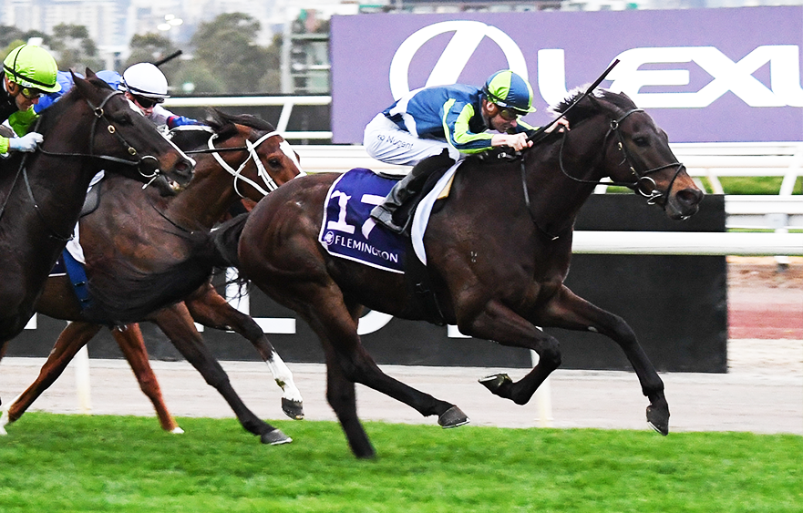 Flemington outing for Floating Artist