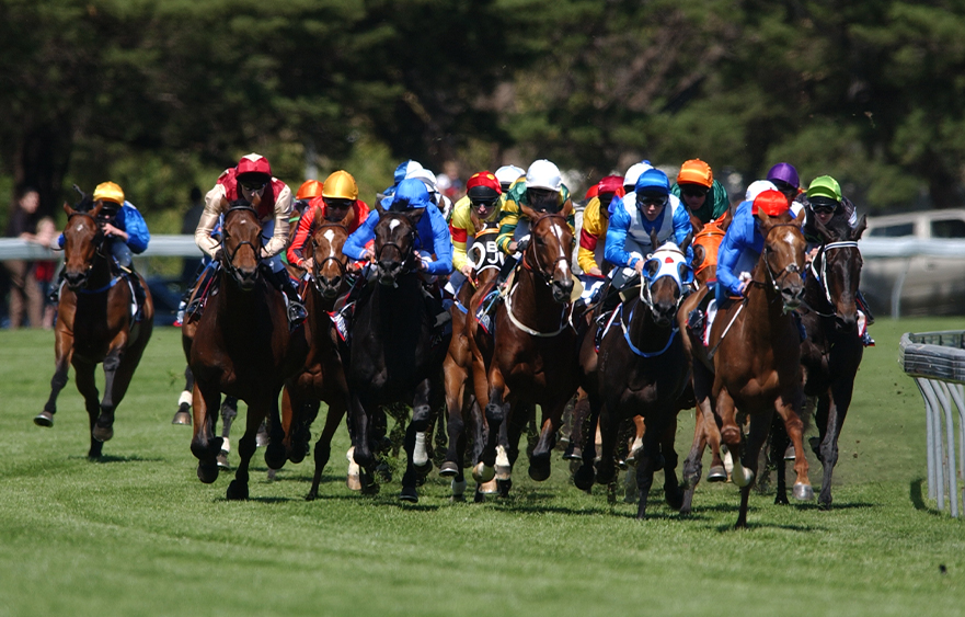 Aurie's Star Handicap - Around the bend?