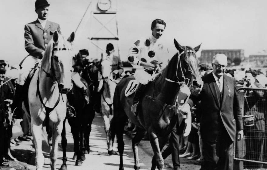 Roy Higgins Quality: A golden ticket into Lexus Melbourne Cup