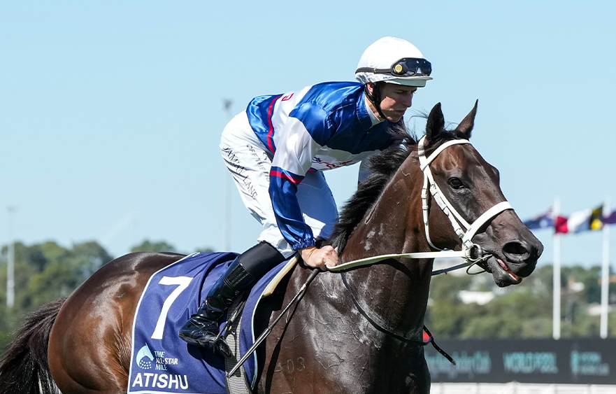 Atishu aims for third Flemington Group 1